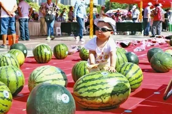 每日大赛吃瓜网入口,揭秘娱乐圈幕后风云,带你畅游八卦海洋