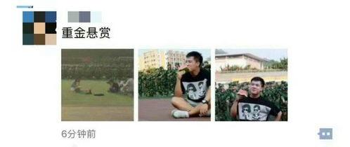 娱乐吃瓜资料来源于哪里